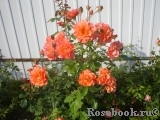 Westerland Westerland