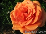 Ashram Ashram