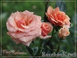 Paco Rabanne ® Paco Rabanne ®