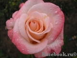 Belle Perle Belle Perle