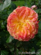 Gartenspass ® Gartenspass ®