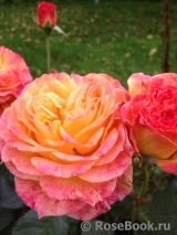 Gartenspass ® Gartenspass ®