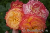 Gartenspass ® Gartenspass ®