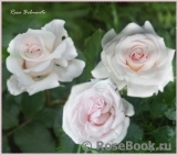 Rosa Belmonte Rosa Belmonte
