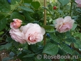 A Shropshire Lad A Shropshire Lad