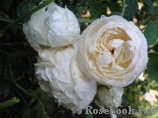 Glamis Castle® Glamis Castle®