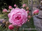 Alan Titchmarsh Alan Titchmarsh