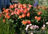 Westerland Westerland