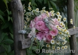 COMPOSITION COMPOSITION