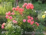 Sommersonne Sommersonne