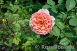 Abraham Darby Abraham Darby