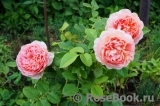 Abraham Darby Abraham Darby