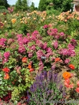 Marjorie Fair ® Marjorie Fair ®