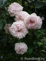 Mariatheresia Mariatheresia