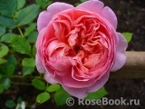 Boscobel Boscobel