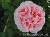 Abraham Darby Abraham Darby