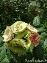 Greensleeves Greensleeves