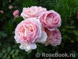 Abraham Darby Abraham Darby