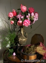COMPOSITION COMPOSITION