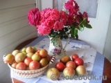 COMPOSITION COMPOSITION