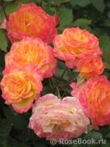 Gartenspass ® Gartenspass ®