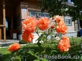 Westerland Westerland
