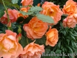 Westerland Westerland