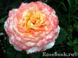 Pierre Tchernia Pierre Tchernia