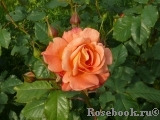 Westerland Westerland