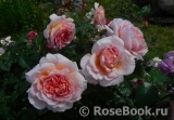 Abraham Darby Abraham Darby