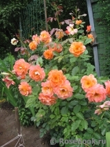 Westerland Westerland