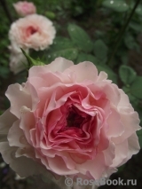 James Galway® James Galway®