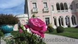 Barone Edmond de Rothschild Barone Edmond de Rothschild