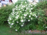 Ritausma Ritausma