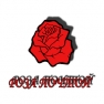 Аватар пользователя - rozapochtoi