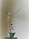 Аватар пользователя - Ikebana