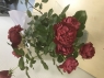 Аватар пользователя - Antikva65