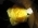 LadyRose LadyRose
