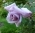 sokolova_lidia sokolova_lidia