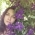 juls777 juls777