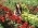 Anact_14 Anact_14