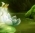 maria_831983 maria_831983