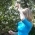 Tatian_a Tatian_a