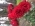 maria0391_91 maria0391_91