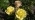 Marisha_marisha_petrova Marisha_marisha_petrova