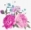 IVETTA IVETTA