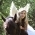 Ludmila_cvet Ludmila_cvet