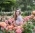 p_masha82 p_masha82
