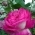 alinaggg029 alinaggg029