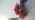 ts_ruban ts_ruban